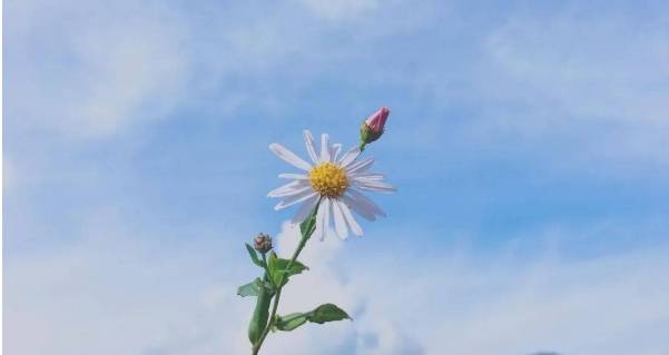 出生時間看以後的財運好不好_孩子_大運_經濟