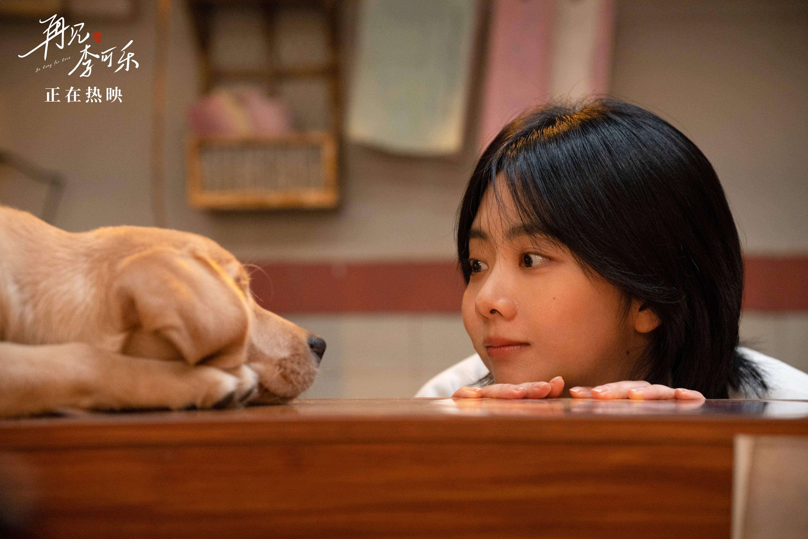 电影《再见,李可乐》票房破2亿 谭松韵一次荧幕到银幕的破壁