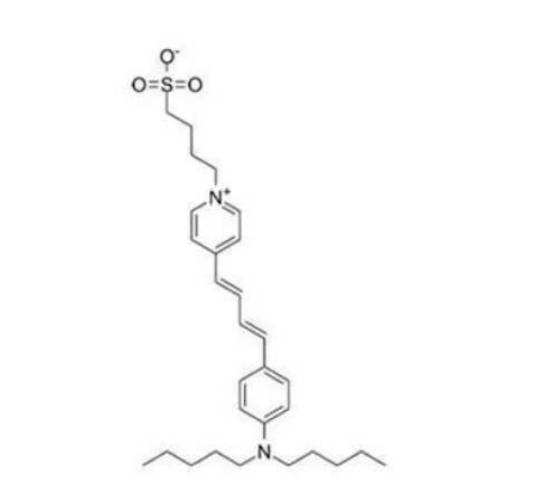 n-(4-磺酸丁基)-4-(4-(4-(二戊基氨基)苯基)丁二烯基)吡啶內鹽此外