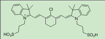 nm應用領域與參考文獻 近紅外一區熒光染料廠家:西安齊嶽生物結構式