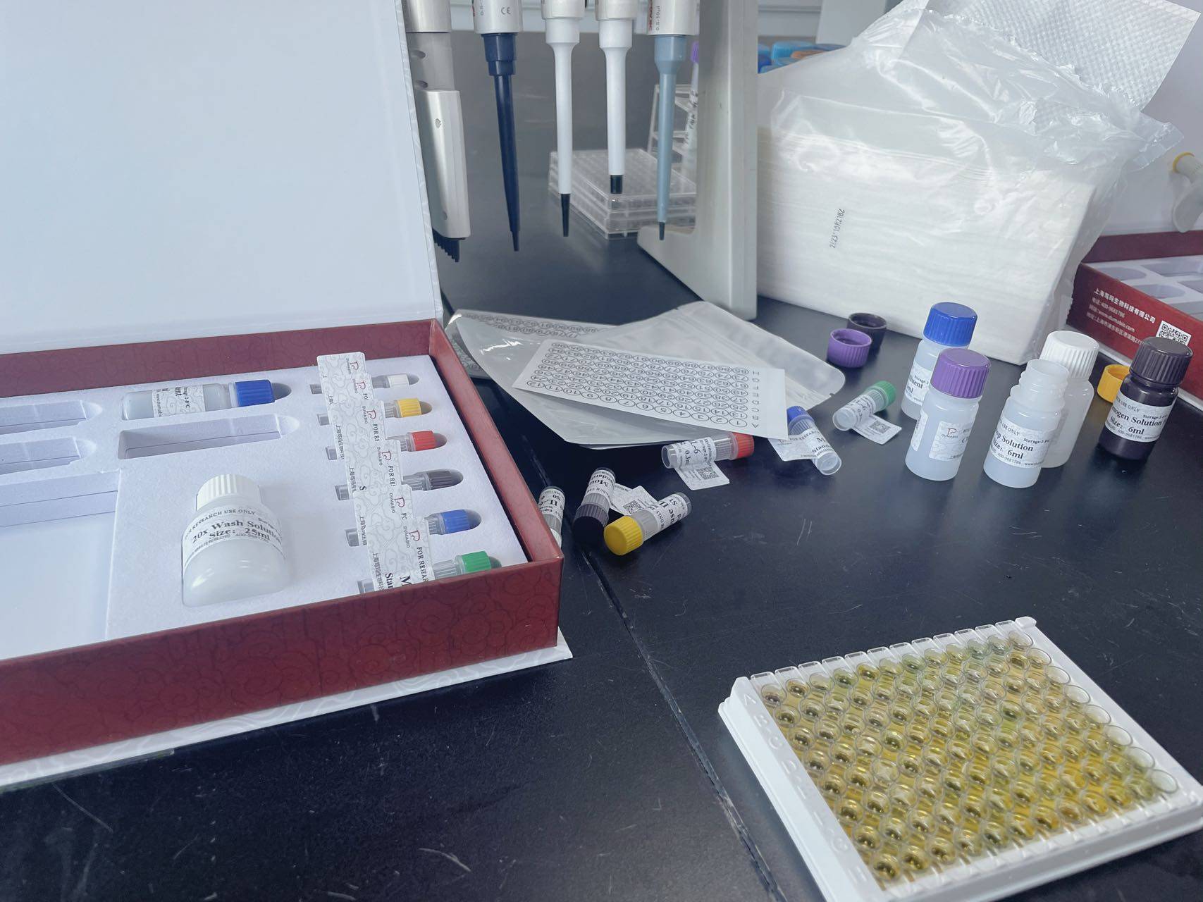 大鼠白介素1受體ii(il-1r2) elisa 試劑盒_檢測_樣本_濃度