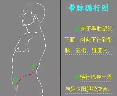 女人有四脈 貫穿全身 一脈灸一穴 婦科難再來 健康加油站