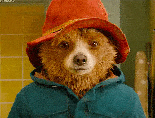 开团纯正英伦风帕丁顿熊夏款童装系列专场让娃秒变小潮童