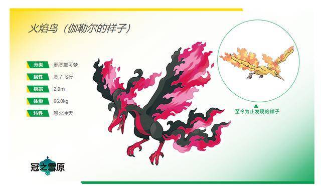 《宝可梦 剑/盾》扩展内容最新情报:三圣鸟地区形态详细信息公布