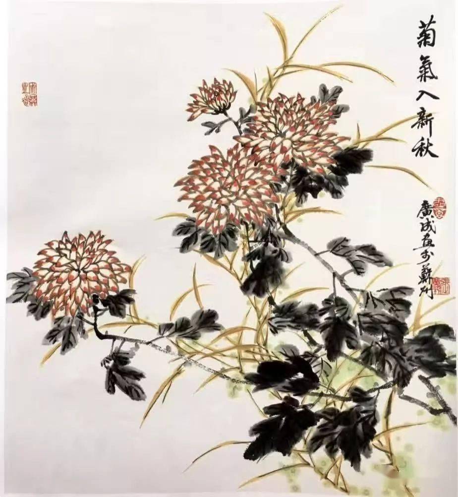 国画菊花的绘画步骤