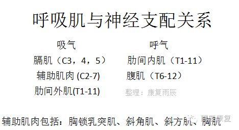 脊髓损伤超全面总结,超全!