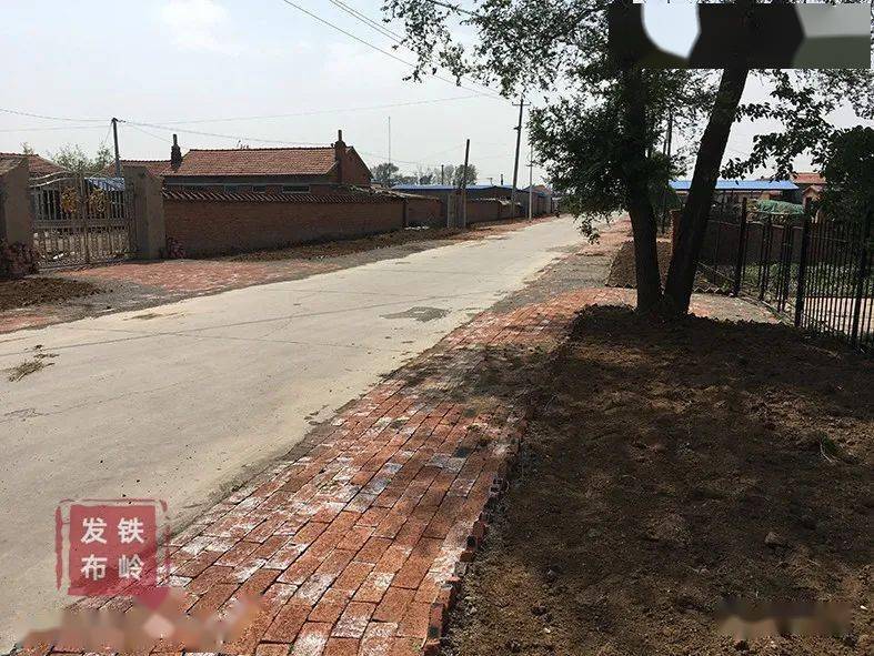 环境整治让沙后所村变了样