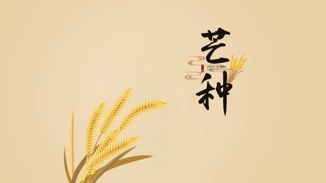 芒种|忙于播种,自有收获