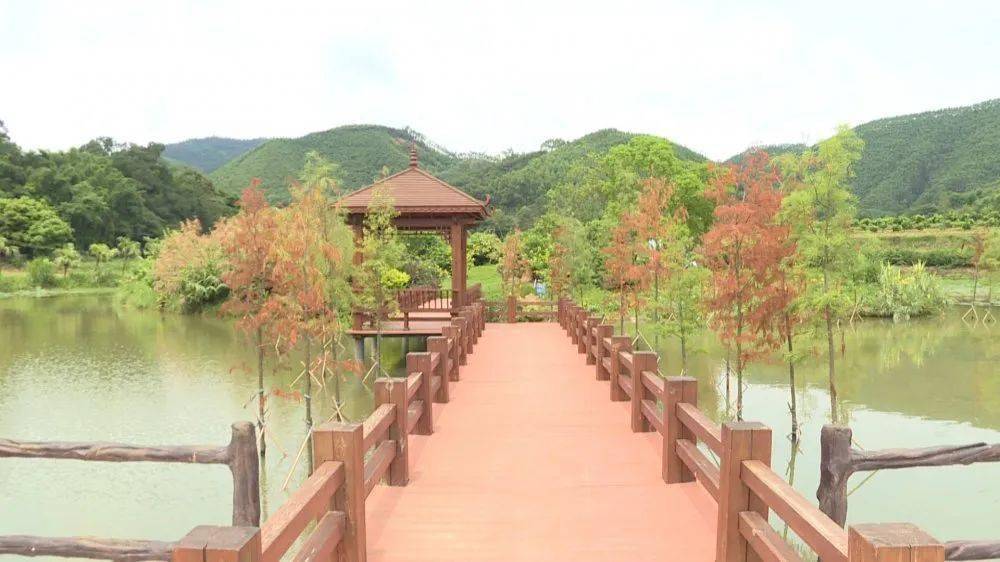 期待!四会桔子小镇十月前将开放营业!总投资超2亿元!_项目