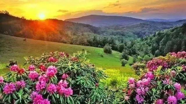 六月心怀阳光一路前行