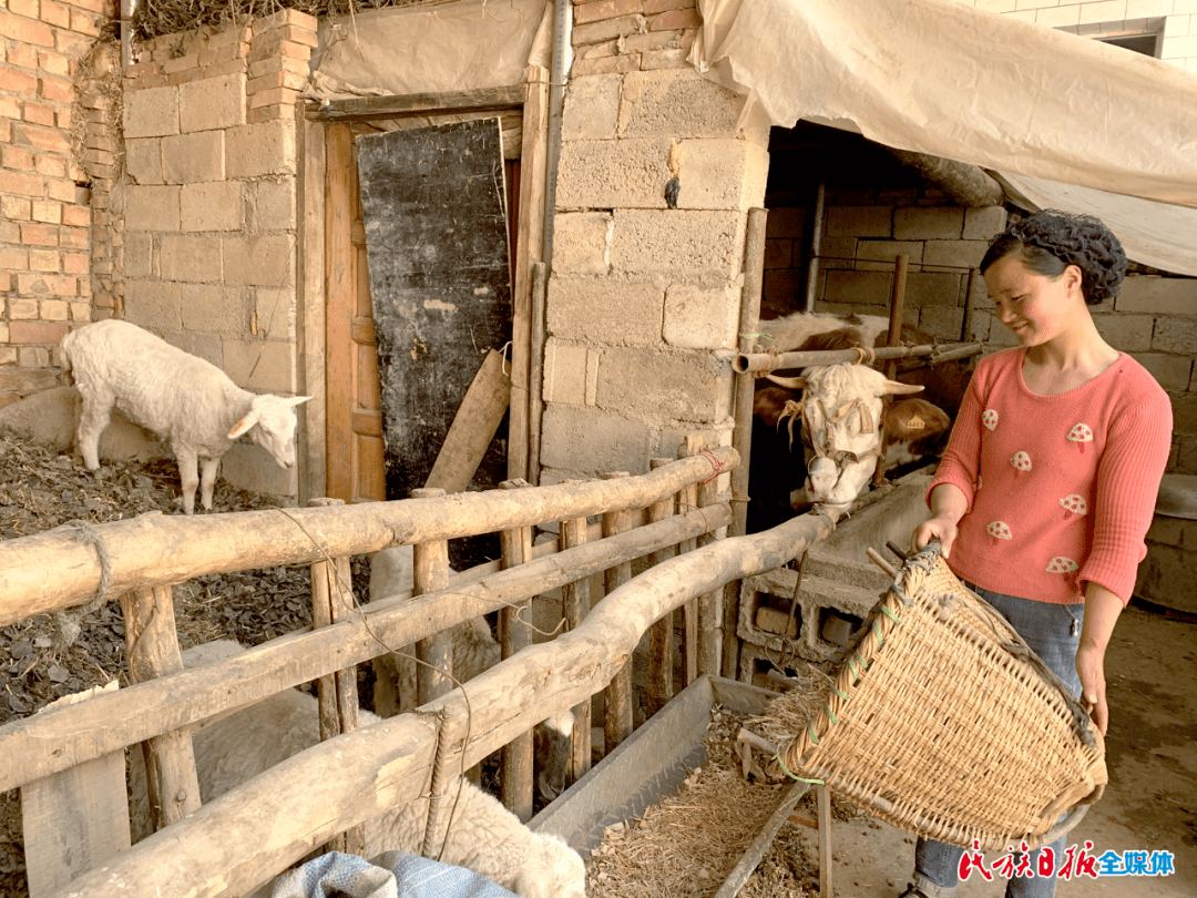 马苏夫叶是这里的住户之一,她家原是吊庄村的贫困户.