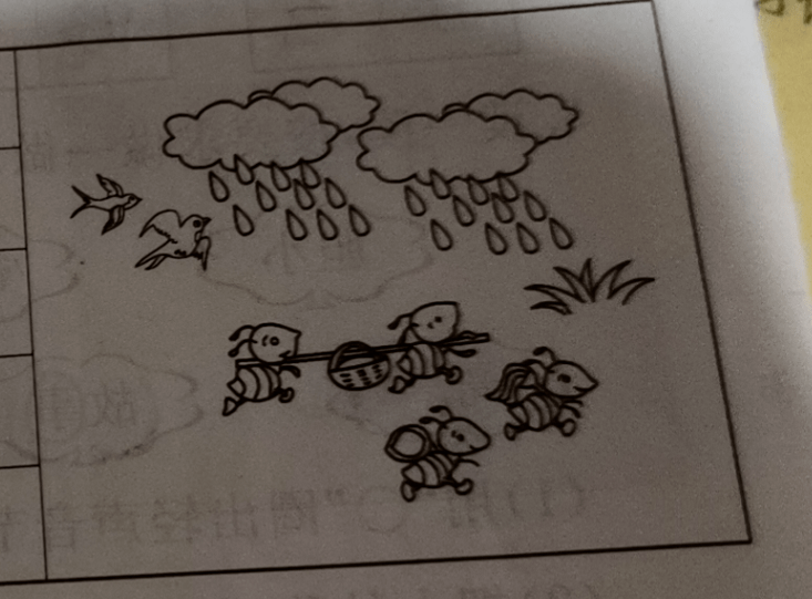一年级雨中情看图写话图片