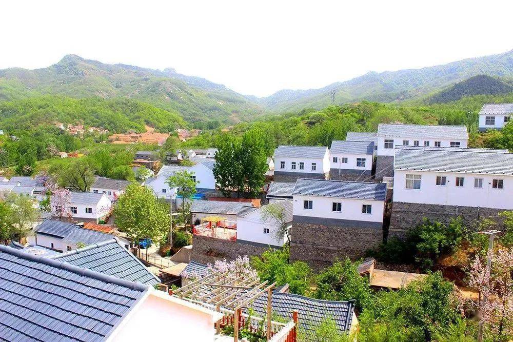 淄博市博山区池上镇中郝峪村67_村民