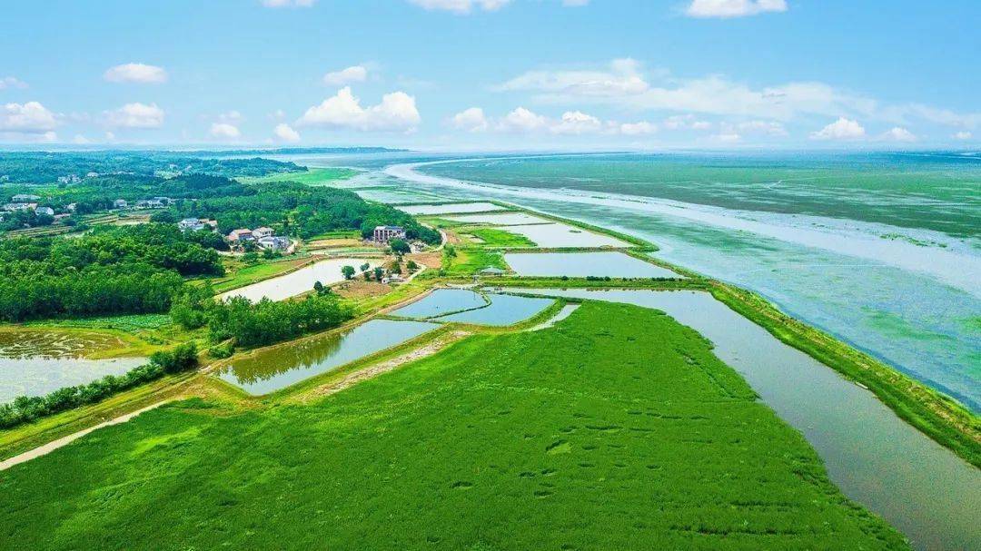 蝉鸣夏忙荆楚乡村旅游十大美景有你向往的生活气息