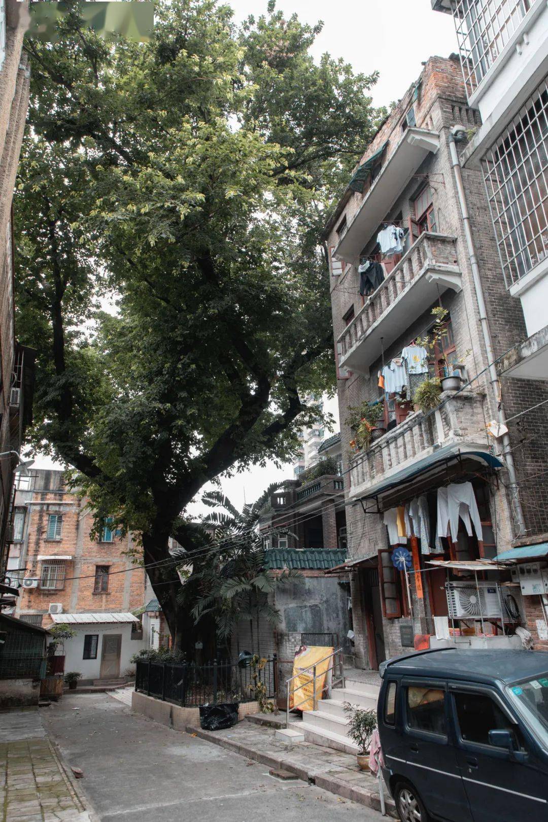 人称"下水道"的龙导尾市场,想找到也不难,面对龙溪首约,左边有条小