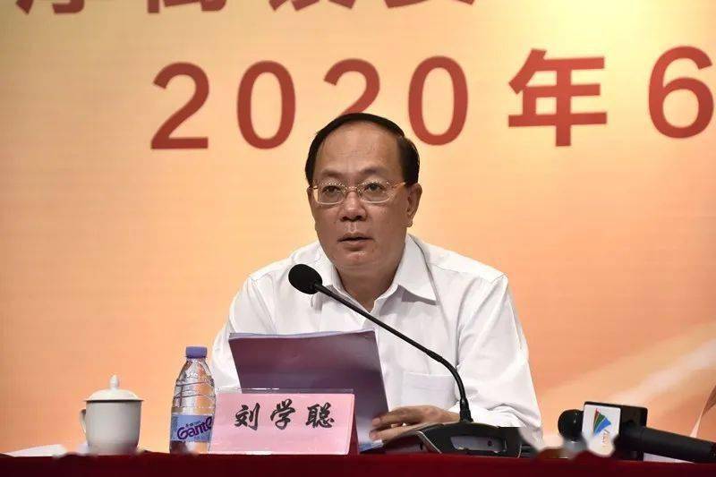 镇委书记刘学聪,镇委副书记,镇长叶可阳等镇班子成员,各镇属部门负责