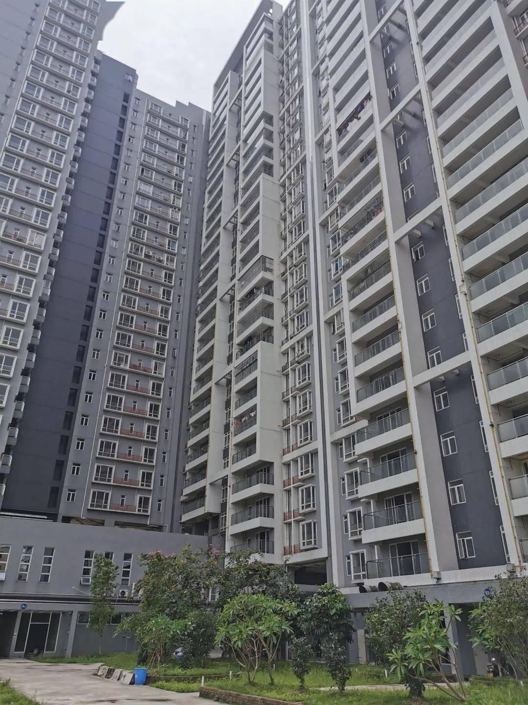 顺德龙江西溪农民公寓143套公开拍卖单价8500起拍