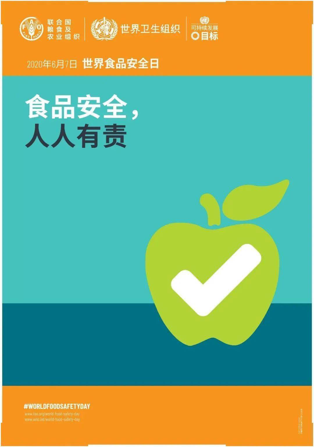世界食品安全日为世界食品安全贡献中国力量