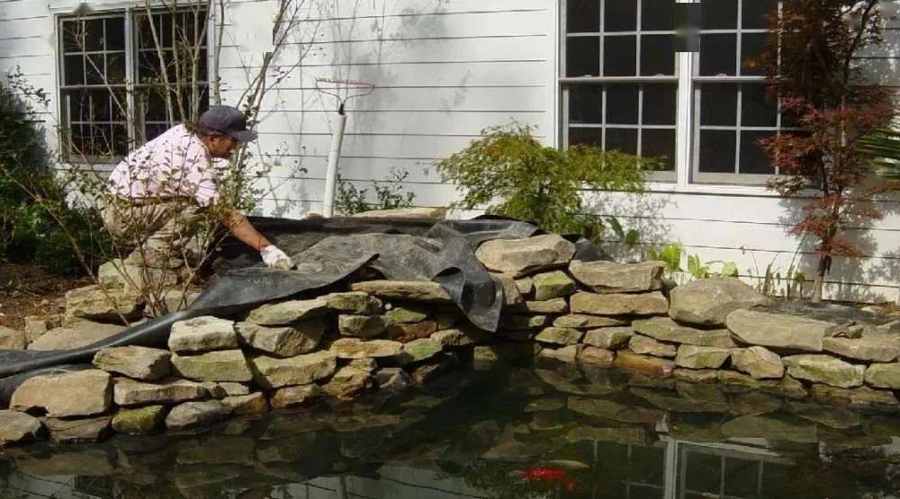 厉害美国鱼友用200块石头加1层布一天建好20㎡鱼池