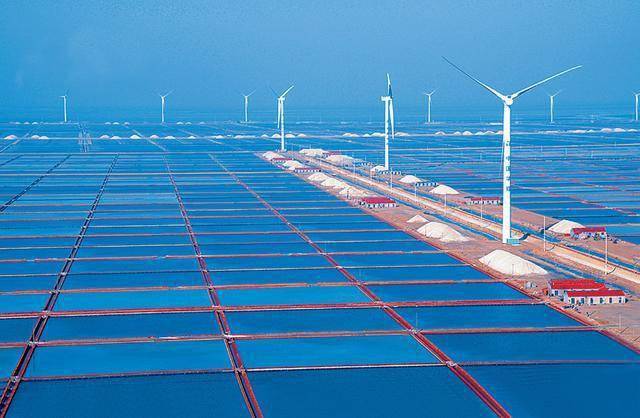 寿光羊口:重塑"百年商埠 渔盐小镇"的昔日辉煌