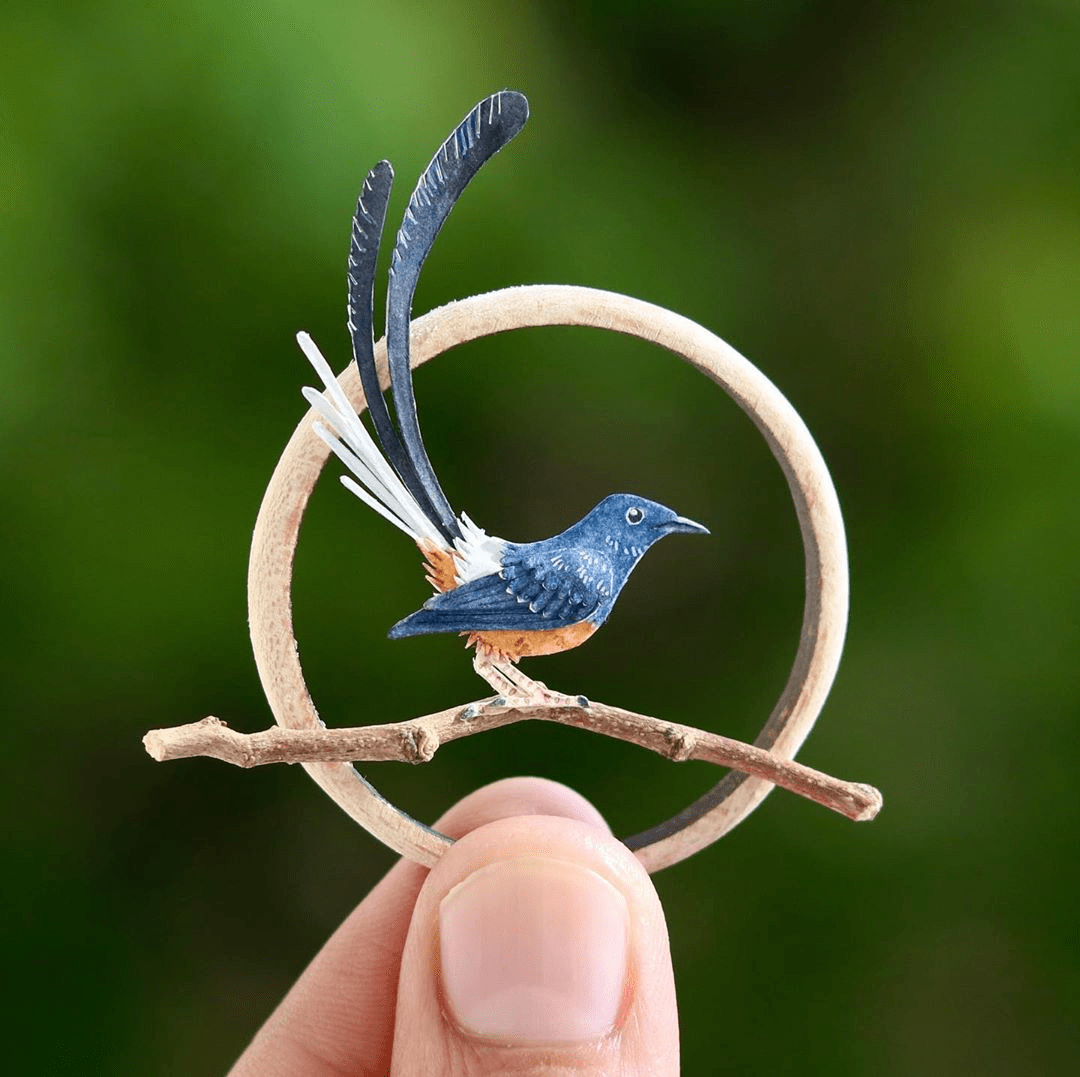 印度艺术家做出打破次元壁的纸雕小鸟,手残党看完表示服了