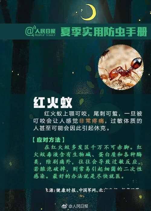 恒耀平台官网女子公交车上突然晕厥,竟是因为被蚂蚁咬了,严重可致休克(图3) 恒耀平台官网女子公交车上突然晕厥,竟是因为被蚂蚁咬了,严重可致休克(图3)