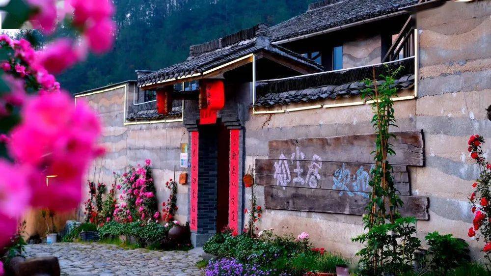 小康路上②赤石村以花为媒乡村圆梦