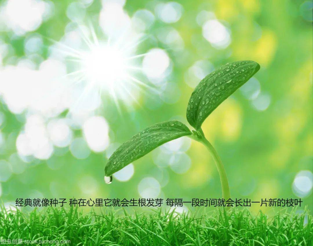 【小图荐书】让经典名著在你心里生根发芽