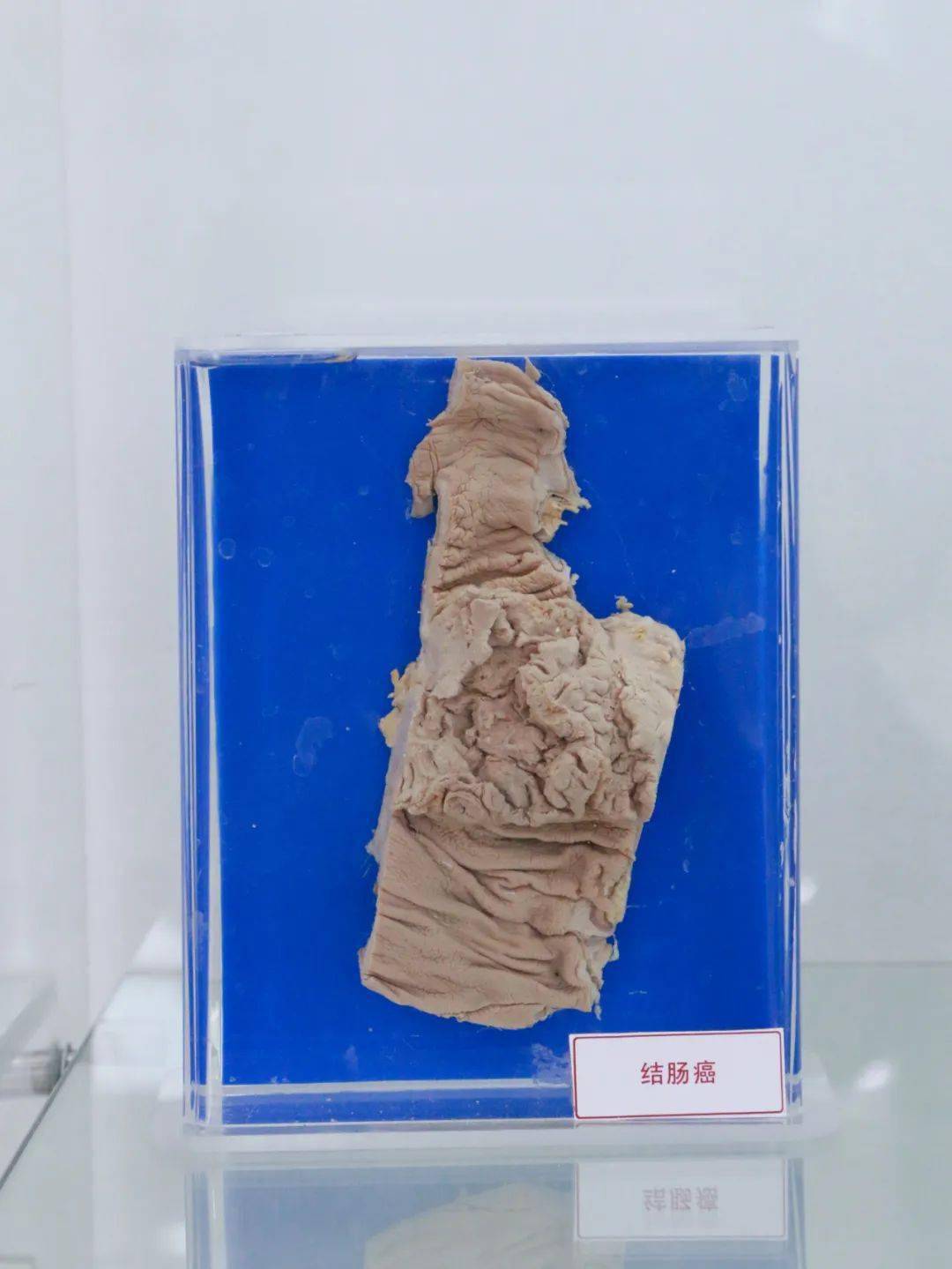 亮家底