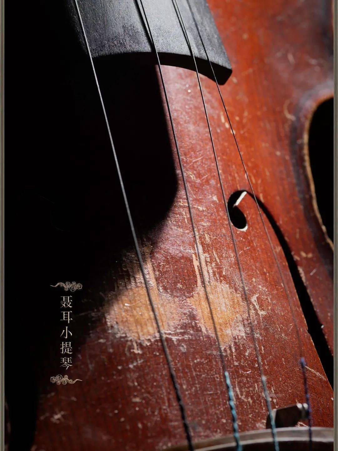 聂耳的小提琴图片