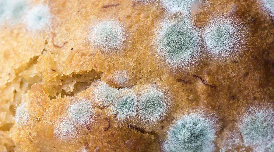 梅雨季节需防霉变