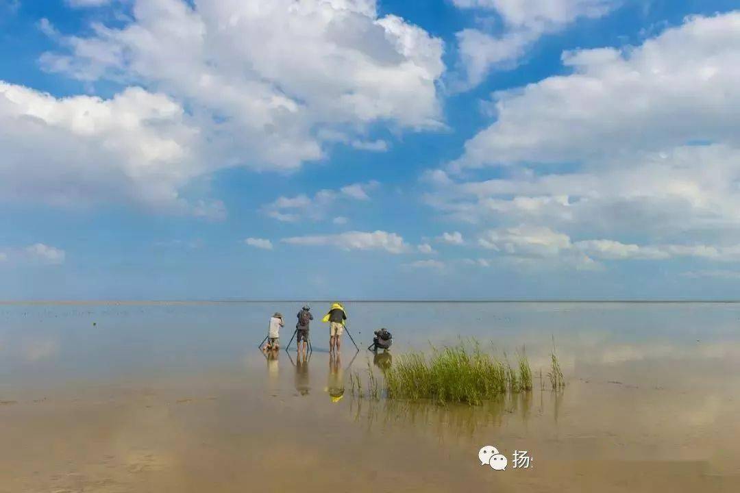 7月1112號週六日世界遺產地東臺條子泥黃海國家森林公園美食二日遊