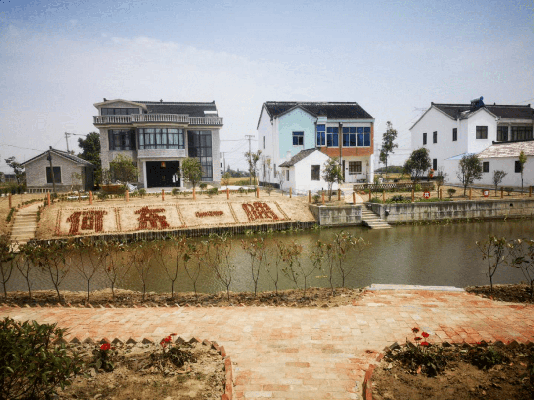 优秀董浜这个村被点名了我也想住农村