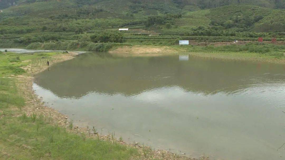 调研黄榕城调研生态环境保护突出问题整改工作