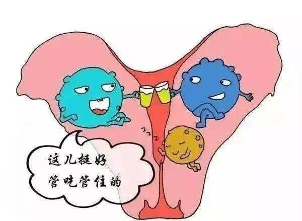 3个症状都有很遗憾通知你得盆腔炎了