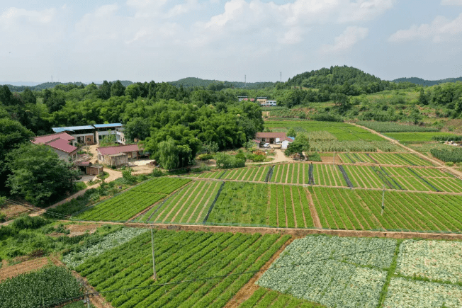 14山水漫游城 空港后花园——董家埂镇董家埂镇幅员面积72平方公里