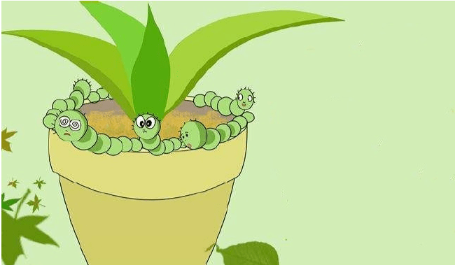 毛毛虫效应就是指哪些终日按照固有的思维行动,并且喜欢盲目跟从别人