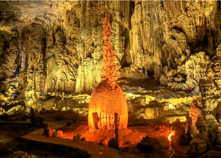 八郎村凯里生物群中的三叶虫化石