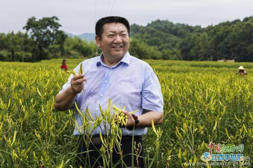 景德镇恒泰农业科技发展有限公司负责人吴宏昌(吴镇方 摄)示范基地