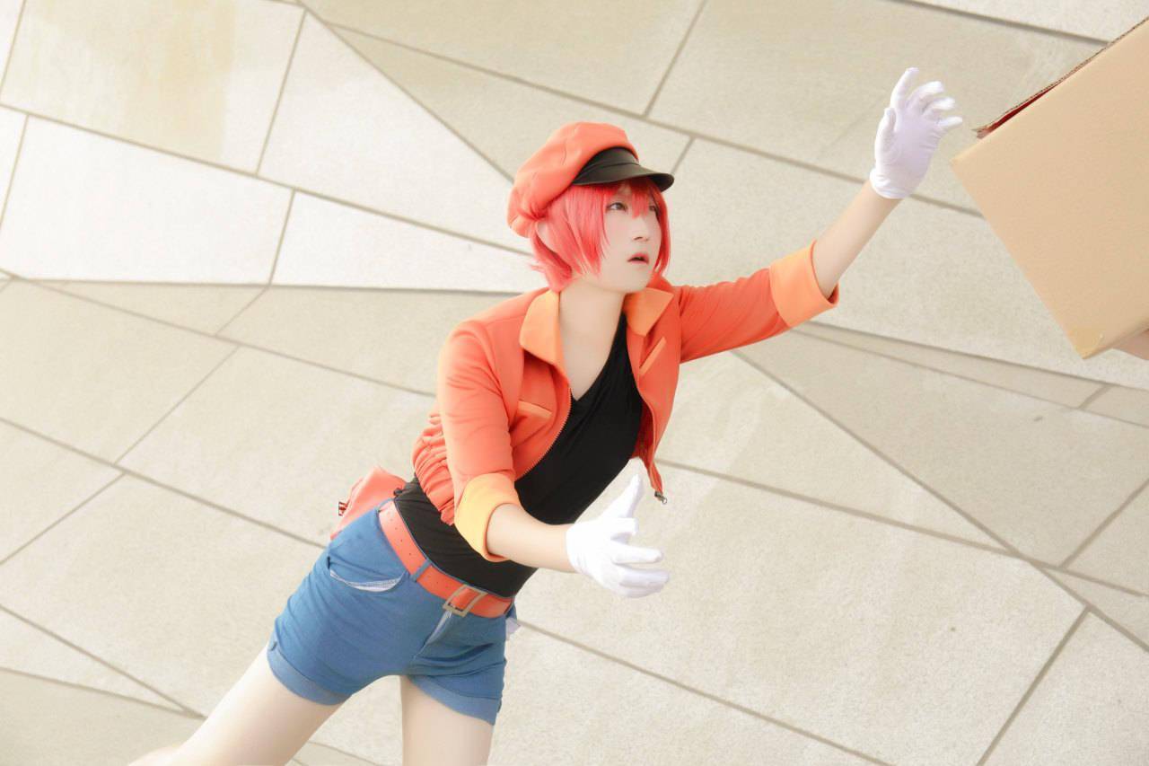 工作细胞红细胞cosplay