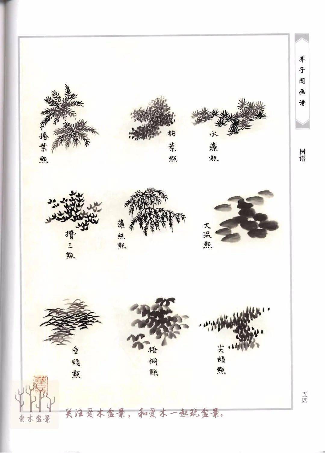 爱木盆景i《芥子园画谱-树谱》分享3,不同树势和树叶的画法