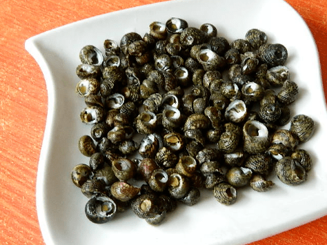 难熬的禁渔期普陀人全靠这盘螺拼续命