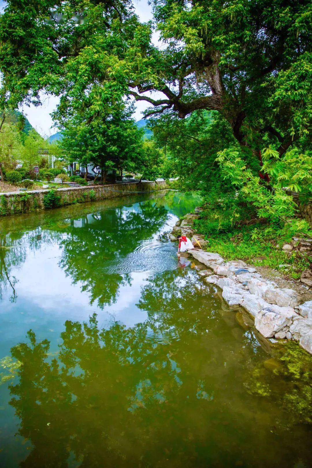 十堰周末游漫步梅花谷探秘古庸国悠享圣水湖
