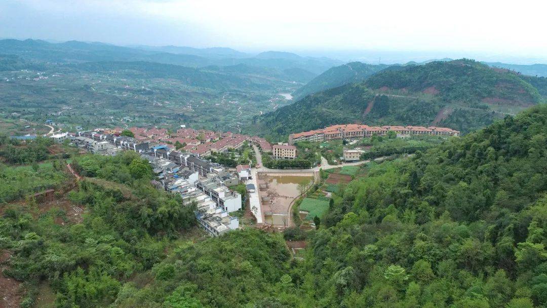 东部新区15个镇街道首次集体亮相