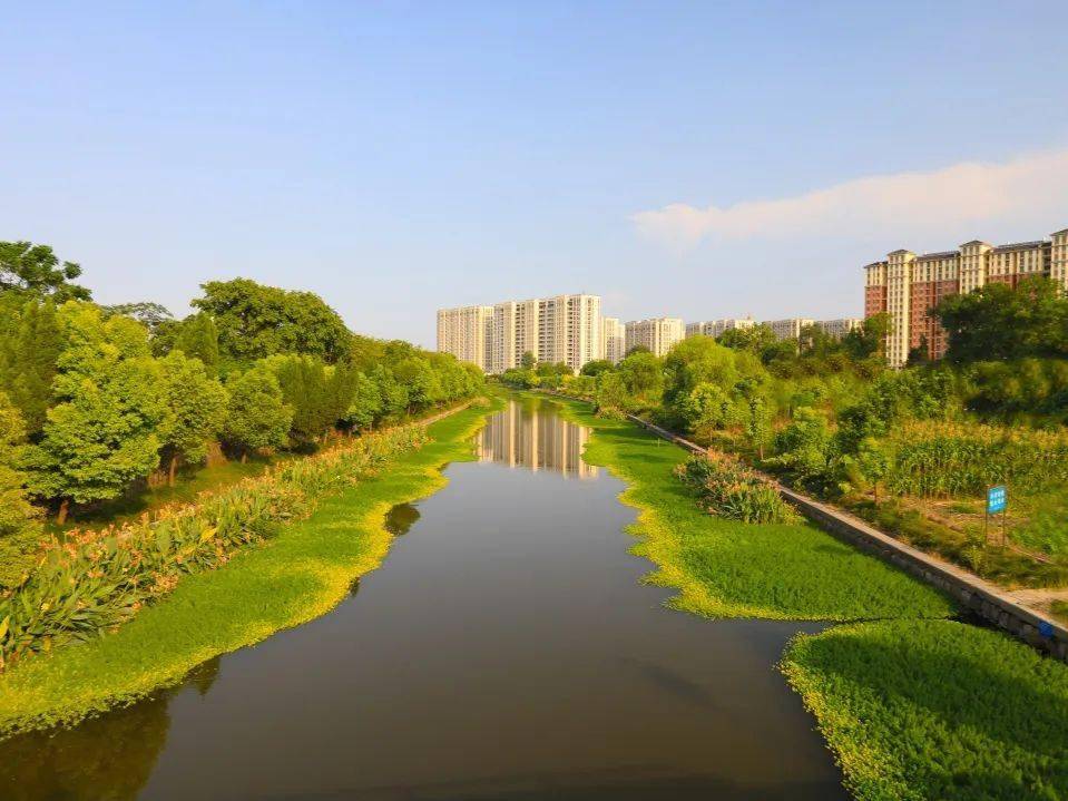 新湾全力打造一流营商环境为高质量发展注入新动能