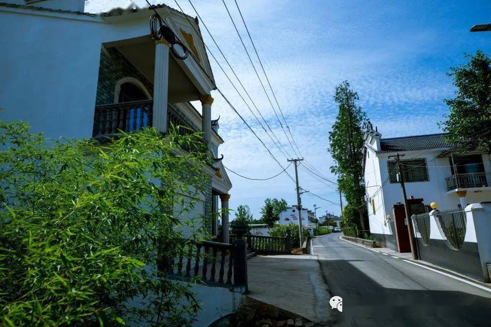 推进"美丽乡村"建设 助力乡村振兴战略_长坪镇