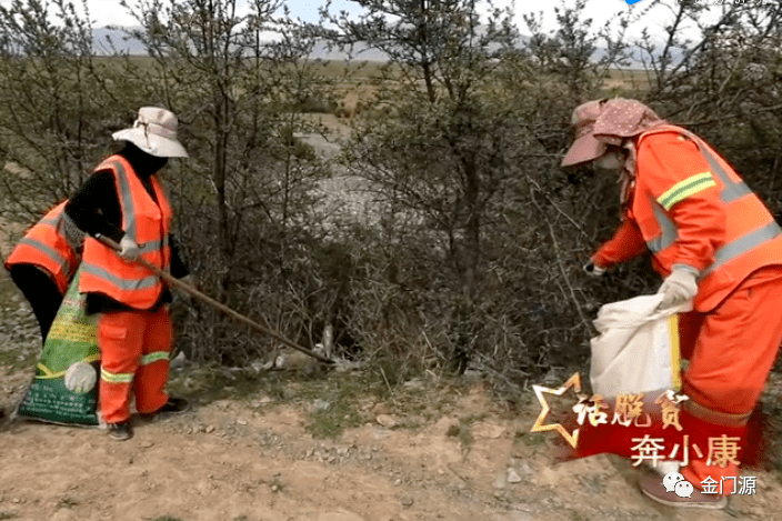 今年58岁的马生莲是青石嘴镇红沟村村民,她家共有