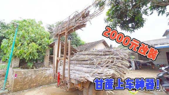 广西蔗农,2000元改装甘蔗上车神器,这样太方便了,你见过吗?