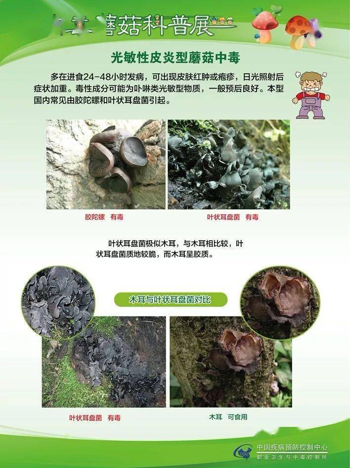 意找来了详细的毒蘑菇科普专家表示,目前已进入野生蘑菇的生长旺盛期