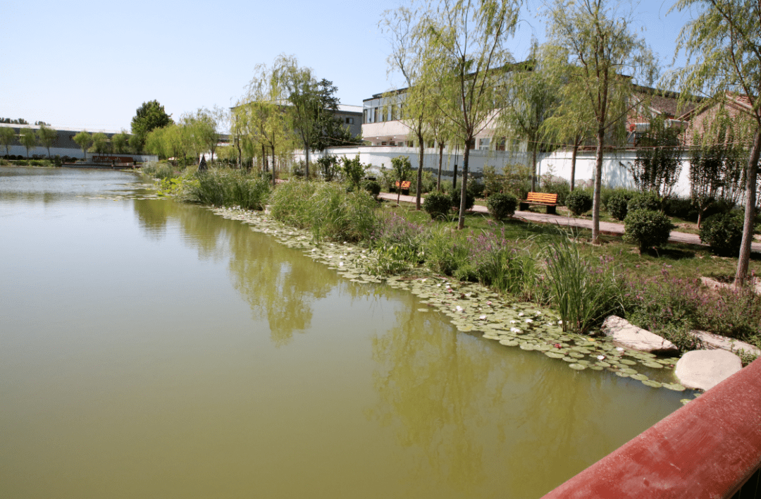 水坡環湖公園五村文化公園通訊員|信息科 張琦編輯|張琦返回搜狐,查看